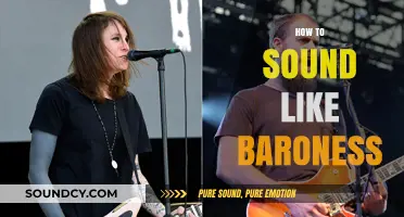 Mastering Baroness' Signature Sound: Techniques for Vocals and Instrumentation