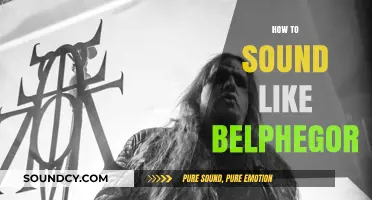 Mastering Belphegor's Voice: Techniques for a Demonic Vocal Style