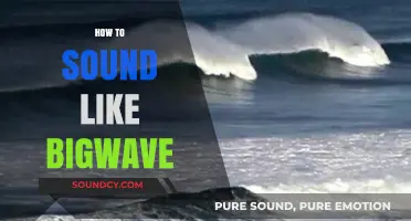 Mastering the Bigwave Sound: Techniques and Tips for Vocal Authenticity