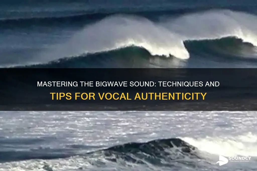 how to sound like bigwave