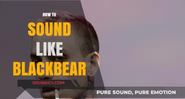 Mastering Blackbear's Unique Vocal Style: Tips and Techniques for Singers