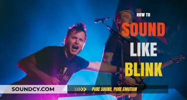 Mastering Blink-182's Signature Sound: Tips for Punk Rock Authenticity