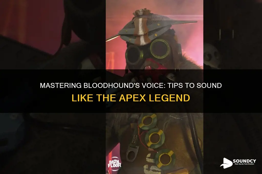 how to sound like bloodhound