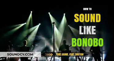 Mastering Bonobo's Signature Sound: Techniques for Producers and Musicians