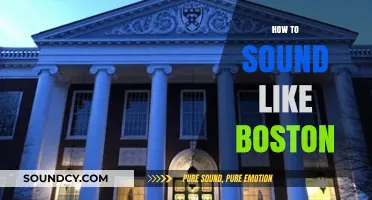 Mastering the Boston Accent: Tips to Sound Like a True Local