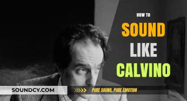 Mastering Calvino's Voice: Techniques to Emulate His Unique Literary Style