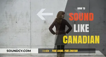 Mastering the Canadian Accent: Tips to Sound Like a True Northerner
