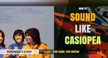 Mastering Casiopea's Signature Fusion Jazz Sound: Techniques and Tips