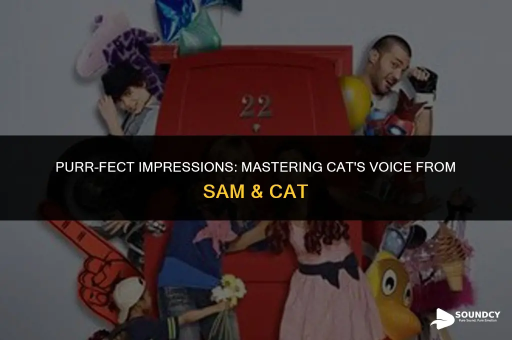 how to sound like cat from sam and cat