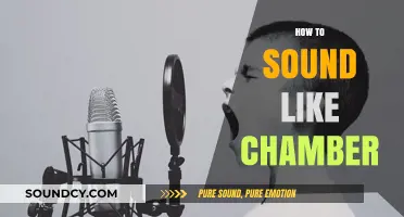 Mastering Chamber's Voice: Techniques to Sound Like the Sentinel