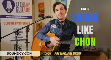 Mastering Chon's Signature Sound: Techniques and Tips for Guitarists