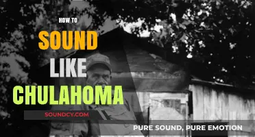 Mastering the Chulahoma Sound: Techniques for Authentic Blues Expression