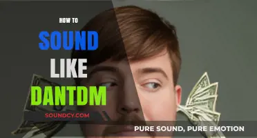 Master DanTDM's Voice: Tips to Sound Like a Pro YouTuber
