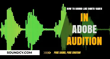 Mastering the Dark Side: Sounding Like Darth Vader in Adobe Audition