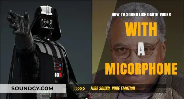 Mastering the Dark Side: How to Sound Like Darth Vader with a Microphone