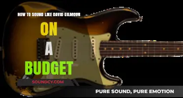 Achieving Gilmour's Tone: Budget-Friendly Tips for Guitarists