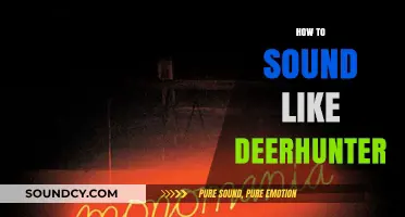 Mastering Deerhunter's Sonic Aesthetic: A Guide to Their Unique Sound