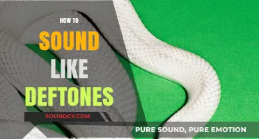 Mastering Deftones' Signature Sound: Techniques for Vocals and Guitar Tone