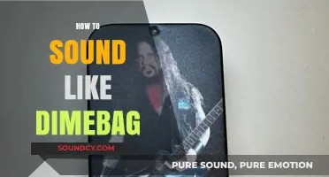 Mastering Dimebag Darrell's Iconic Guitar Tone and Technique: A Guide