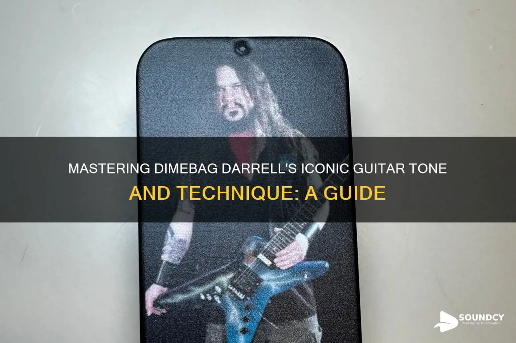 how to sound like dimebag