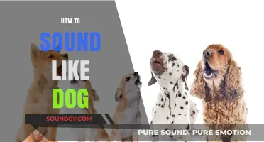 Master the Art of Barking: How to Sound Like a Dog