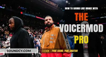 Mastering the Drake Voice: A Guide to Using Voicermod Pro