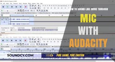 Mastering the Drive-Thru Mic Sound with Audacity: A Step-by-Step Guide