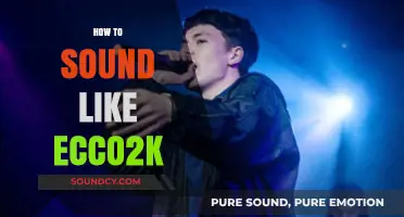 Master Ecco2K's Unique Vocal Style: Techniques for a Distinctive Sound