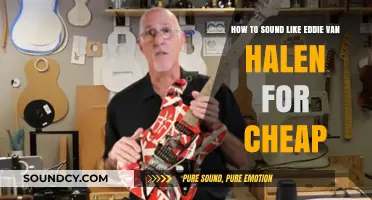 Unlock Eddie Van Halen's Tone: Budget-Friendly Guitar Tips