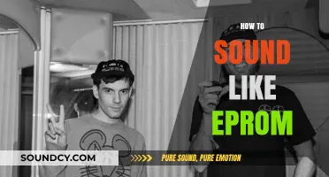 Mastering EPROM's Signature Sound: Techniques and Tips for Producers