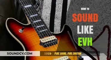 Mastering Eddie Van Halen's Iconic Guitar Tone and Techniques