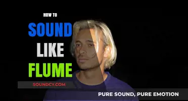 Mastering Flume's Signature Sound: Production Techniques and Creative Tips