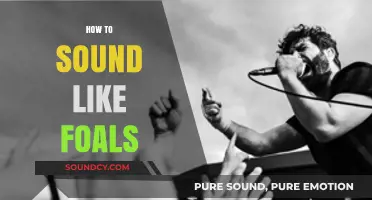 Mastering Foals' Unique Sound: Techniques for Vocals and Guitar Effects