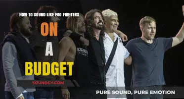 Budget-Friendly Tips to Nail the Foo Fighters Sound