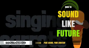 Mastering Future's Unique Vocal Style: Techniques for Autotune and Delivery