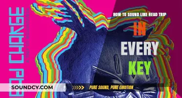 Unlocking Sonic Bliss: A Guide to Head-Tripping Melodies in Any Key