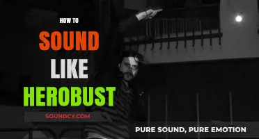 Master Herobust's Signature Sound: Production Tips and Tricks Revealed