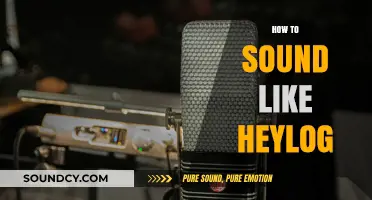 Mastering the Heylog Sound: Tips and Techniques for Vocal Authenticity