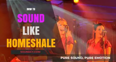 Mastering Homeshale's Unique Tone: Tips to Sound Like Him Authentically