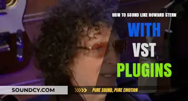 Mastering the Art of Emulating Howard Stern's Voice with VST Plugins