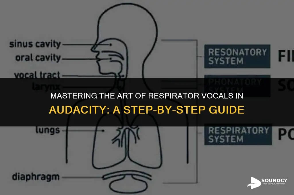 how to sound like in a respirator in audacity