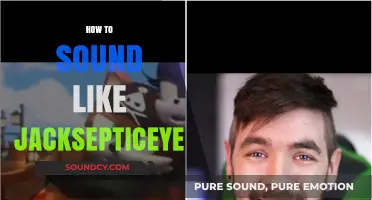 Mastering the Energetic and Hilarious Voice of Jacksepticeye: A Guide