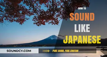 Mastering Japanese Pronunciation: Tips to Sound Like a Native Speaker