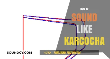 Mastering the Art of Karcocha's Unique Vocal Style: A Step-by-Step Guide