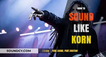 Master Korn's Signature Sound: Techniques for Aggressive Riffs and Vocal Styles
