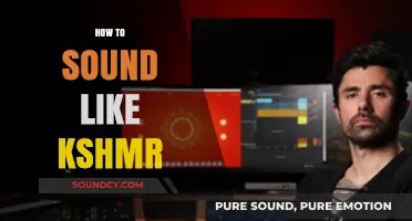 Master KSHMR's Signature Sound: Production Tips and Techniques Revealed