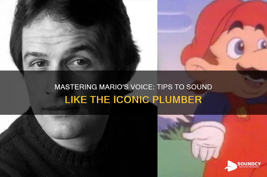 how to sound like mario
