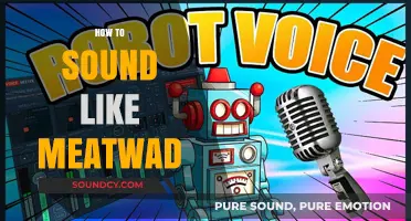 Mastering Meatwad's Voice: Tips to Sound Like the Iconic Aqua Teen