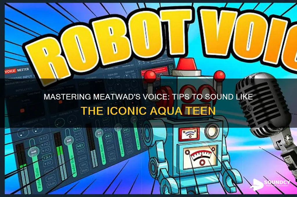 how to sound like meatwad