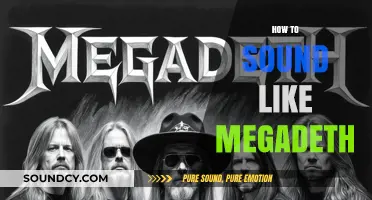 Mastering Megadeth's Sound: Techniques for Riffs, Vocals, and Thrash Metal Edge